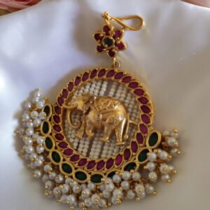 Bridal Tikka